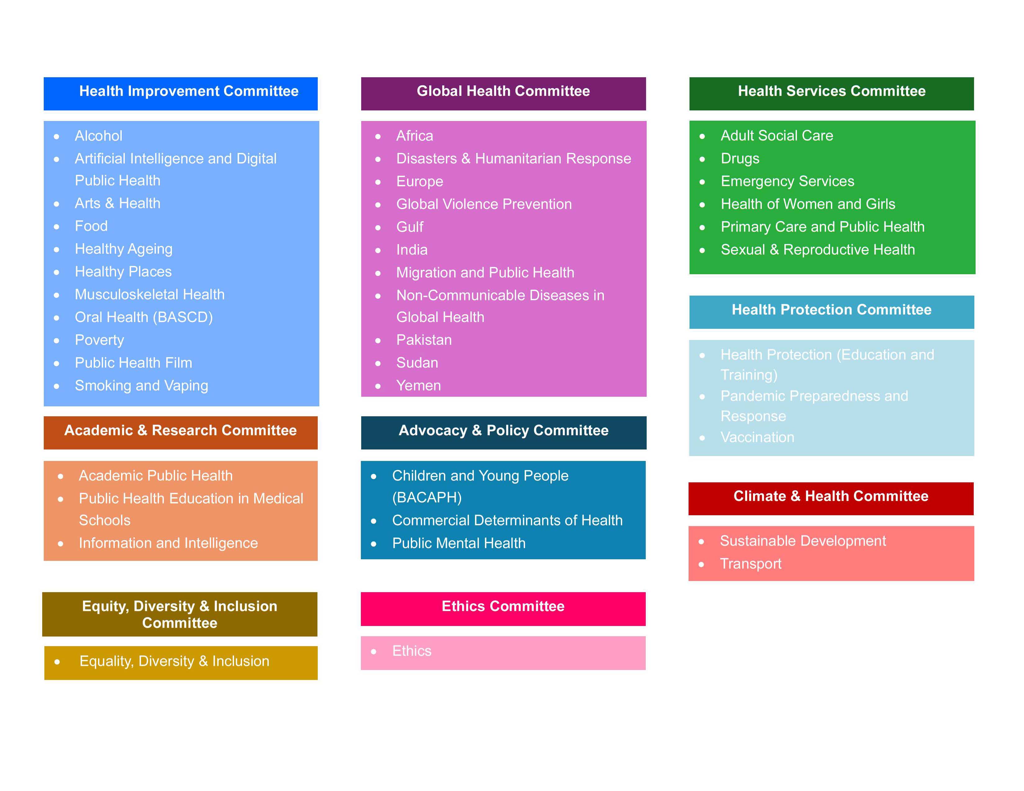 Diagram of the Faculty of Public Health's Committees and Special Interest Groups as of November 2024
