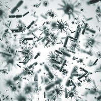 Disease Surveillance and Control
