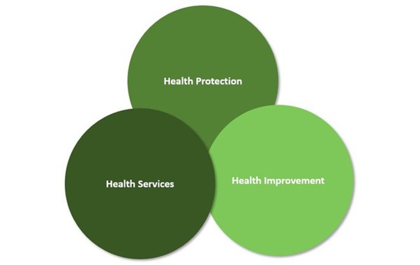Domains of Public Health Practice