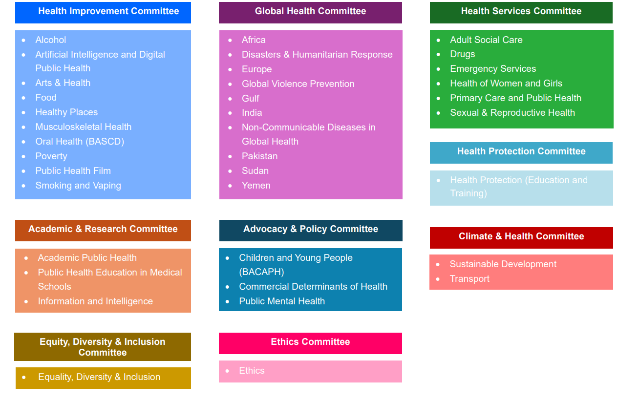 Diagram of the Faculty of Public Health's Committees and Special Interest Groups as of November 2024 Diagram of the Faculty of Public Health's Committees and Special Interest Groups as of November 2024